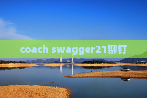 coach swagger21铆钉